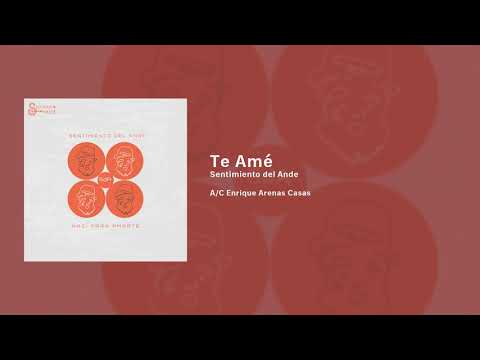 TE AMÉ - Sentimiento del Ande (Huayno) (Audio Oficial) [Primicia 2021]