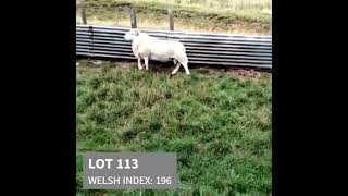 Download lagu Lot 113 mp3