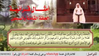 الحلقة الثامنة والسبعون من برنامج أمثال قرآنية image