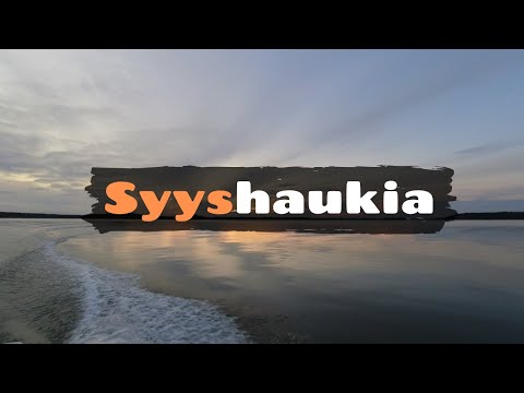 Syyshaukia [ Syyshauen kalastusta merellä marraskuussa ]