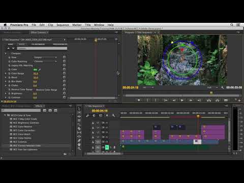 Opening Indie Titles in BCC 9