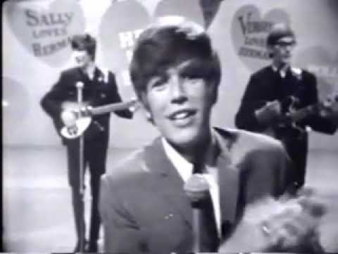 Herman's Hermits - Can't You Hear My Heartbeat (1965)