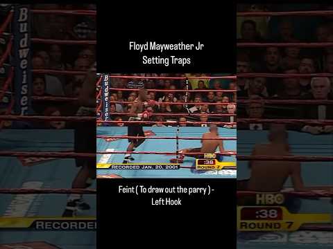 Floyd Mayweather highest boxing IQ #boxing