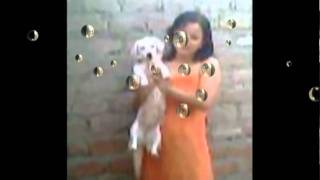 Diana Flores - boys over flowers