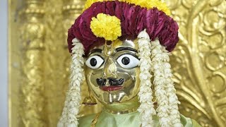Shri Harikrushna Maharaj Status   Vadtal Dham  Swa