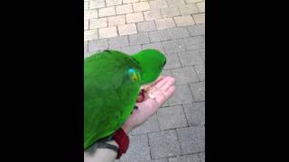 IMG 16031