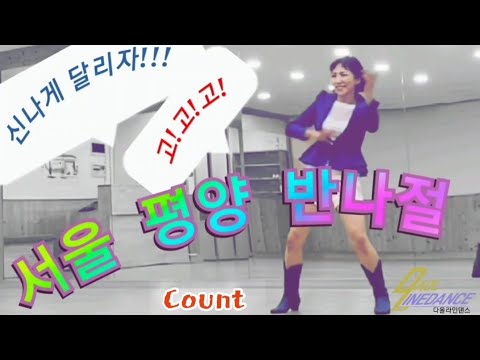 🛩서울 평양 반나절 라인댄스/Count/신나는 트로트 초급라인댄스