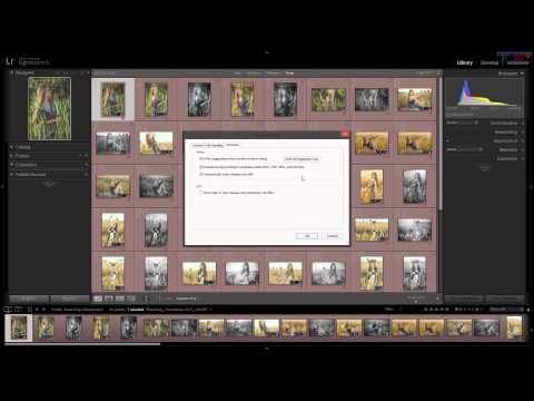 Adobe Lightroom - ustawienia i preferencje