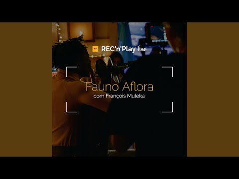 Ayú - François Muleka