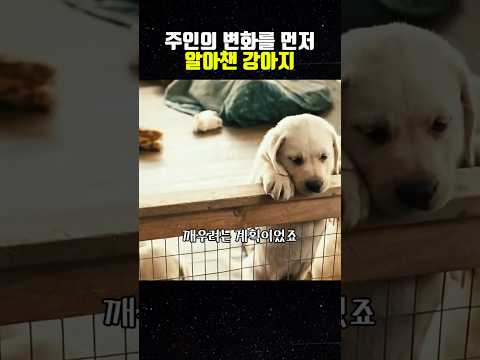 주인의 변화를 먼저 눈치챈 강아지