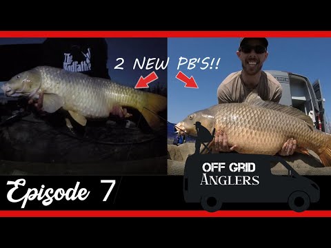 CARP fishing SPAIN. River EBRO.  New RECORD CARP caught!