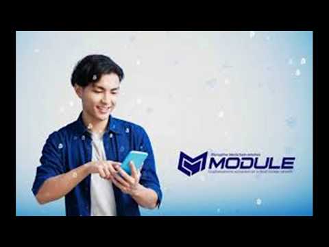 Проект Module. Предварительные итоги ICO