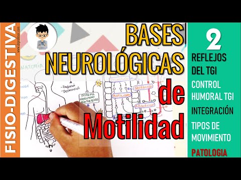 GASTROINTESTINAL PHYSIOLOGY - MOTILITY, Reflexes, HUMORAL CONTROL, Types of Movement | Digestive 2