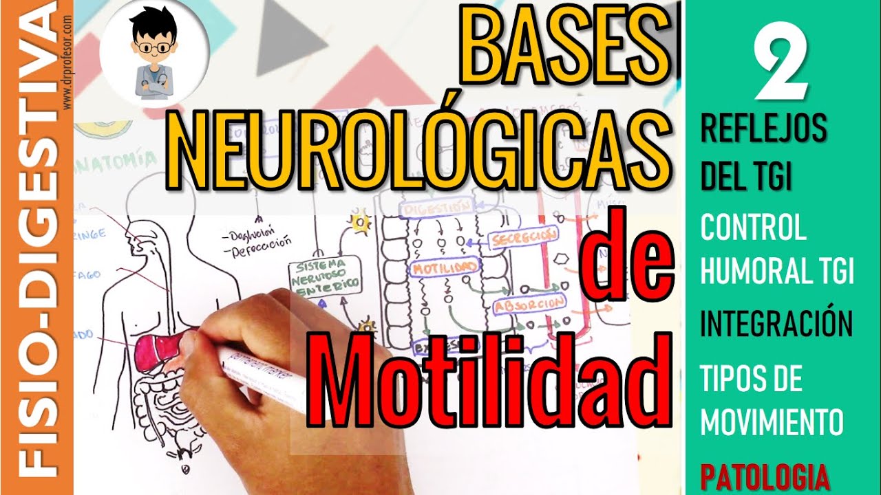 FISIOLOGIA GASTROINTESTINAL - MOTILIDAD, Reflejos, CONTROL HUMORAL, Tipos de Movimiento |Digestivo 2