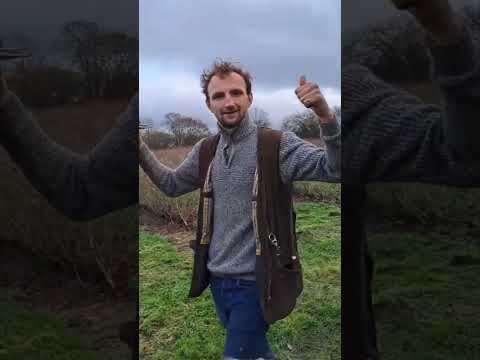 lurchers Russell terriers and catapult shooting Episode 8