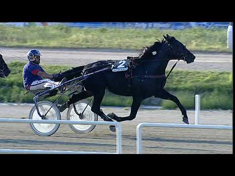 Napoli Trotto 10/06/2023 - 5ª corsa