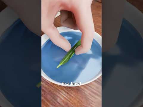 How To Make A Compass With A Needle 😮