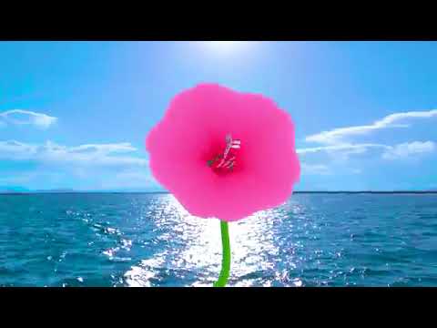 Conjunto Coral CENTINELAS - 9no VOLUMEN " EL VENDRA "