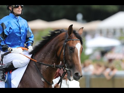 Magdeburg: BBAG Auktionsrennen Magdeburg (C) - Siegerin: Fosun