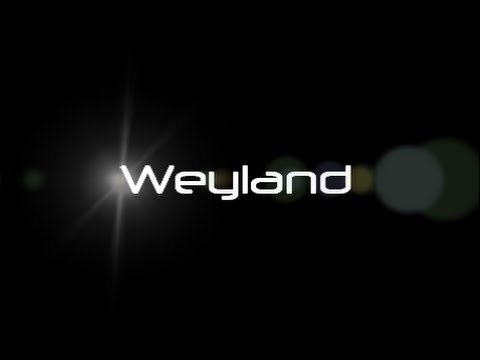 Weyland - fête de la musique 2013 (extraits)