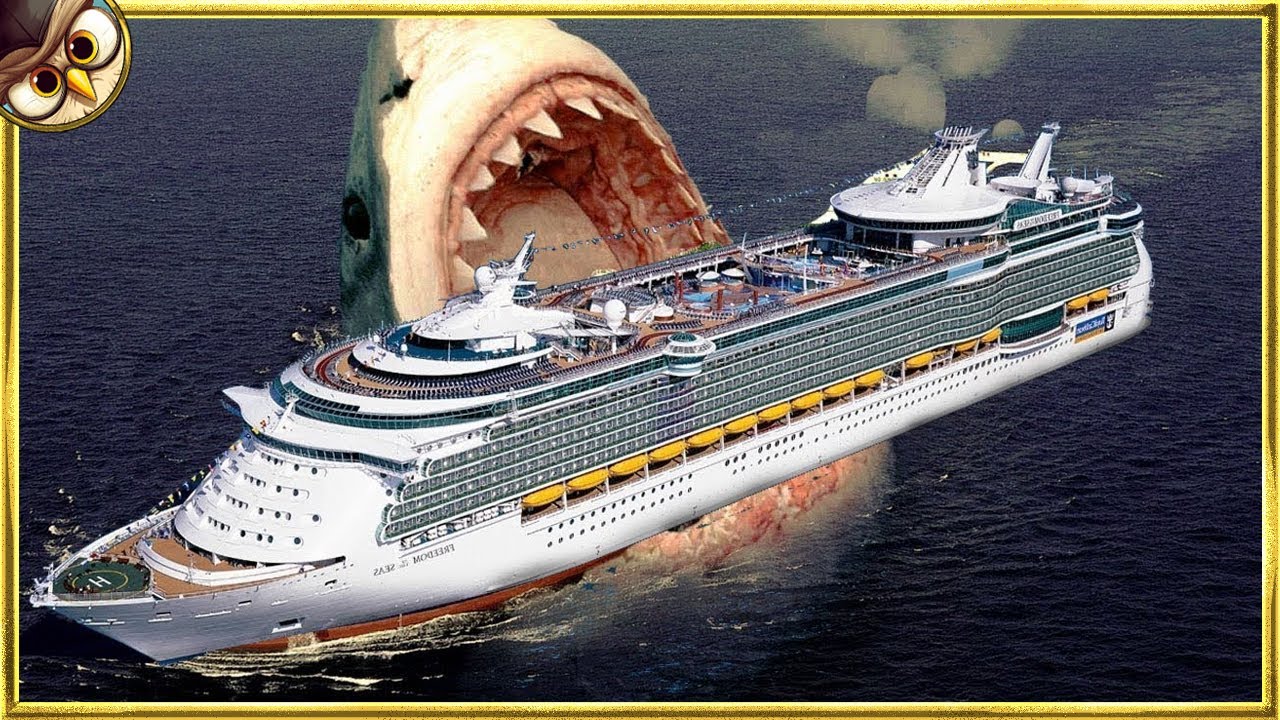 20 Dangerous Sea Monsters You're Glad Are Extinct