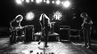 Strand of Oaks - JM (Kotor, Montenegro)