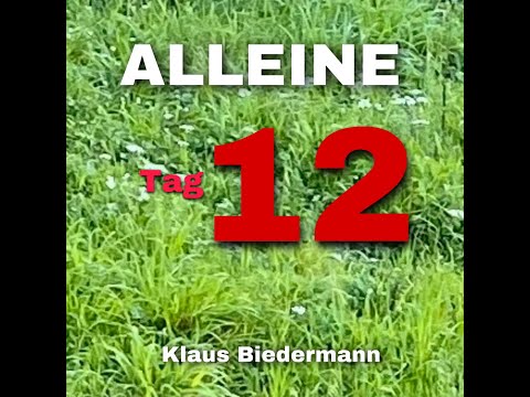 Roman von Klaus Biedermann: "Alleine - Tagebuch einer Quarantäne"   Tag 12