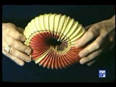 I Extreme Kabbalah: The Genesis Torus