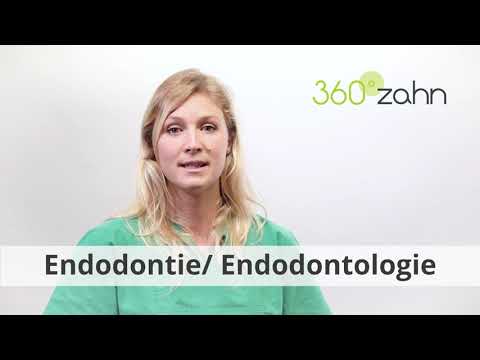 Endodontie/ Endodontologie | Dental-Lexikon | 360°zahn