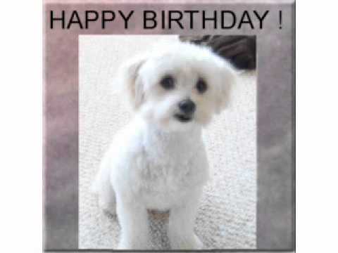 HAPPY BIRTHDAY !  GAMMY, FROM RAZ