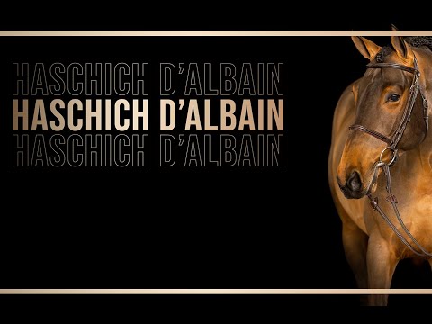 sire Haschich d'Albain