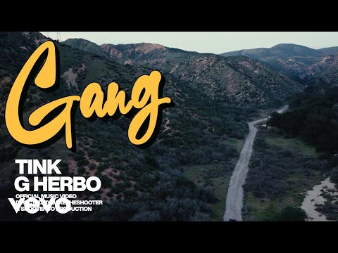 Tink, G Herbo - GANG (Official Video)