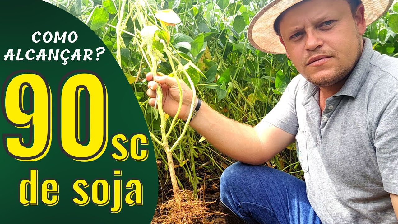 COMO ALCANÇAR ALTAS PRODUTIVIDADES NA CULTURA DA SOJA | Dicas de manejo para superar os 90 sc/ha