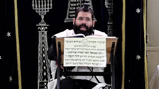 עבודה זרה דף ע"ו ע''א והוריות דף ב' ע''א ¤ הרב נתנאל אברז'ל ¤ בית הכנסת "בית מרדכי" (מוסדות תורת דוד) - התמונה מוצגת ישירות מתוך אתר האינטרנט יוטיוב. זכויות היוצרים בתמונה שייכות ליוצרה. קישור קרדיט למקור התוכן נמצא בתוך דף הסרטון