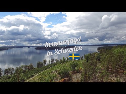 Summer Hunting in Sweden