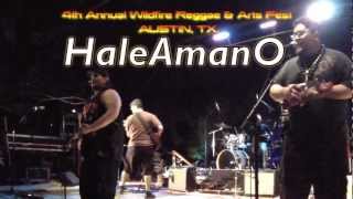 HaleAmanO @ Wildfire Reggae & Arts Festival 2013