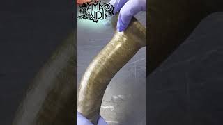 Download lagu Parabolica Silicone Toy - Gold and Black mp3 Download lagu Parabolica Silicone Toy - Gold and Black mp3