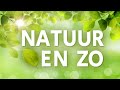 Natuur en Zo TV: bosbeheer in het Weerterbos - 30 mei 2021