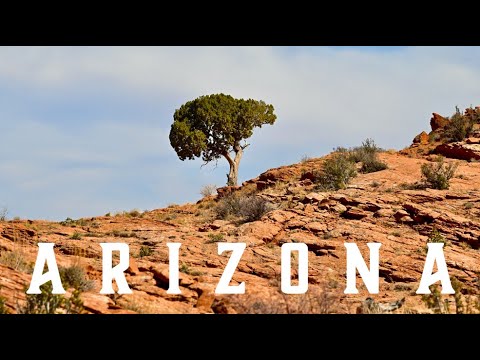 Arizona