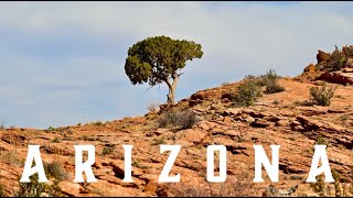 Arizona
