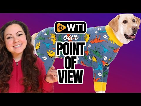 Dog Recovery Suit for Dogs After Surgery Female Male Medium Large Dog Neuter Spay Onesie for Shedding Prevent Licking Surgical Wound Dog Cone Alternative 2X-Large (Pack of 1) Dinosaur - WTI product video review