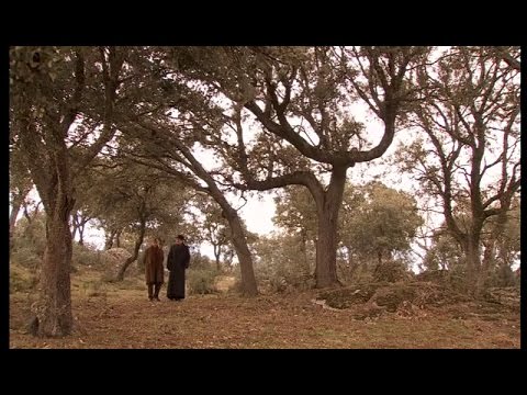 Puente Viejo C1022 - Raimundo se sincera con don Anselmo