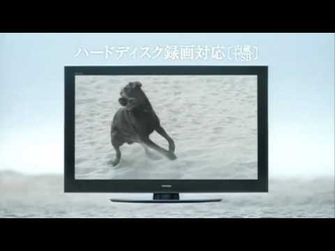 download lagu mp3 mp4 Regza Cm, download mp3 Regza Cm free downloadn, video klip Regza Cm
