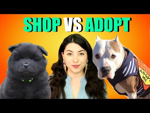 Getting A Puppy? WATCH THIS FIRST! Adopt or Buy A Dog?