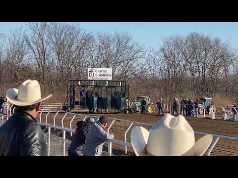 El Quematierras vs La Sombra Negra #fyp #carrerasdecaballos #caballos
