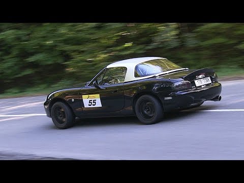 Vrchy Hobby Cup 2019 - Dušná | 55 | Richard Křenek