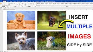 How to Insert Multiple Images in MS Word