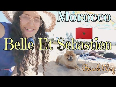 🇲🇦 ☀️ #Morocco #Vlog 🐪 #فلوق #المغرب