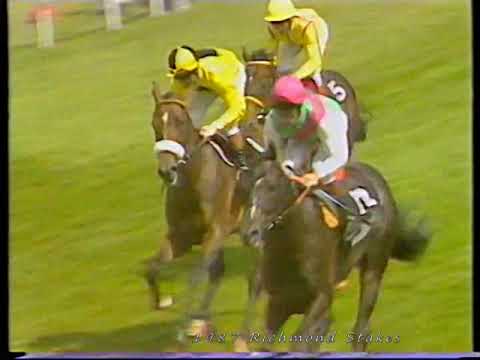 1987 Richmond Stakes Warning Includes Replay
