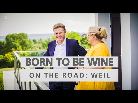 BORN TO BE WINE on the road – Zu Besuch auf Weingut Robert Weil